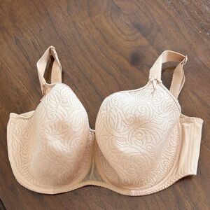 Enpreinte Lace Embroidered Women's Bra in Tan